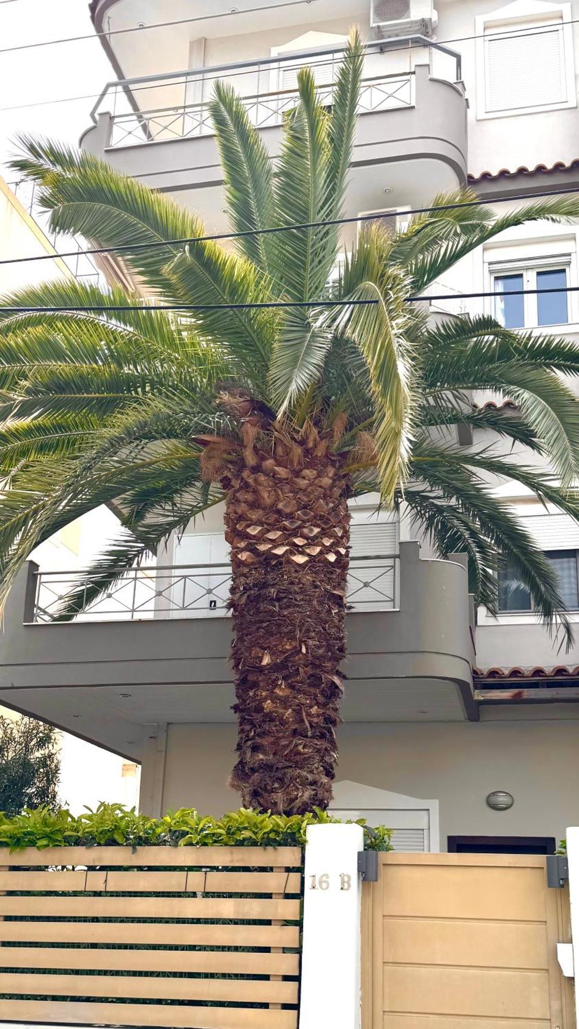 Elegant Glyfada Apartment-Private Garden-Near Metro Athènes Extérieur photo